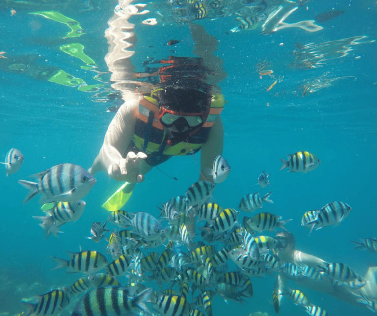 Trip Gili Trawangan